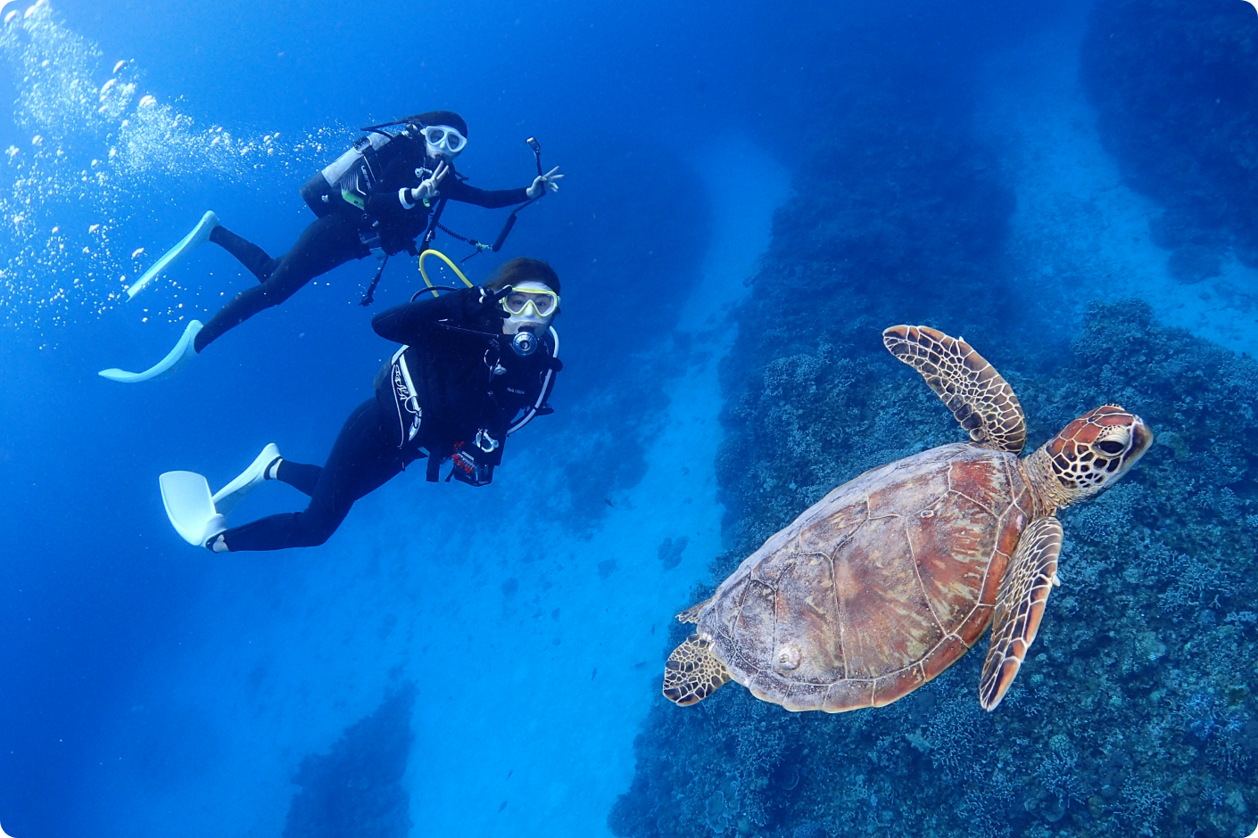 体験ダイビング