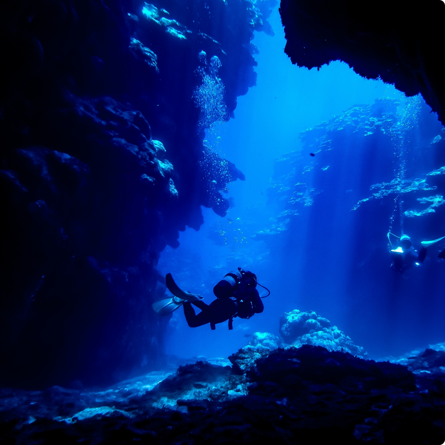 沖縄の海で、忘れられないダイビング体験を。