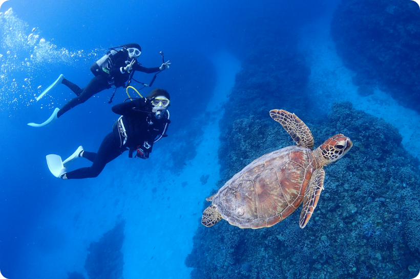 ファンダイビング