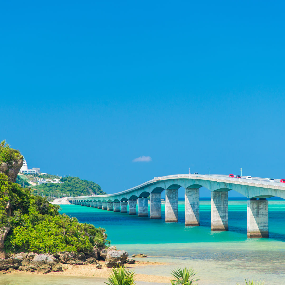 沖縄の海で、忘れられないダイビング体験を。