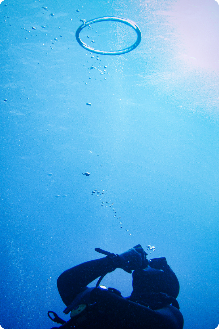 沖縄の海で、忘れられないダイビング体験を。