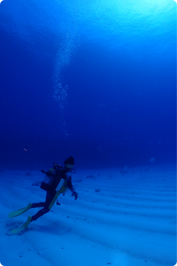 沖縄の海で、忘れられないダイビング体験を。
