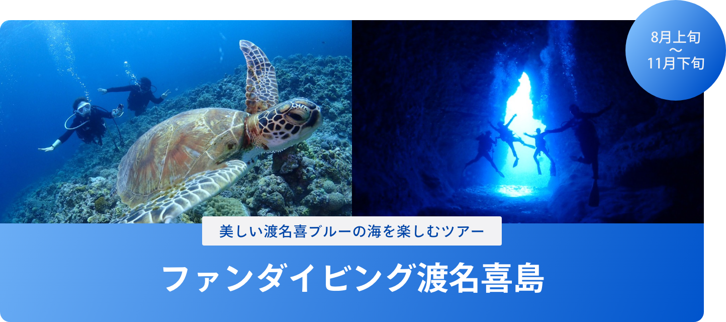 期間限定コース